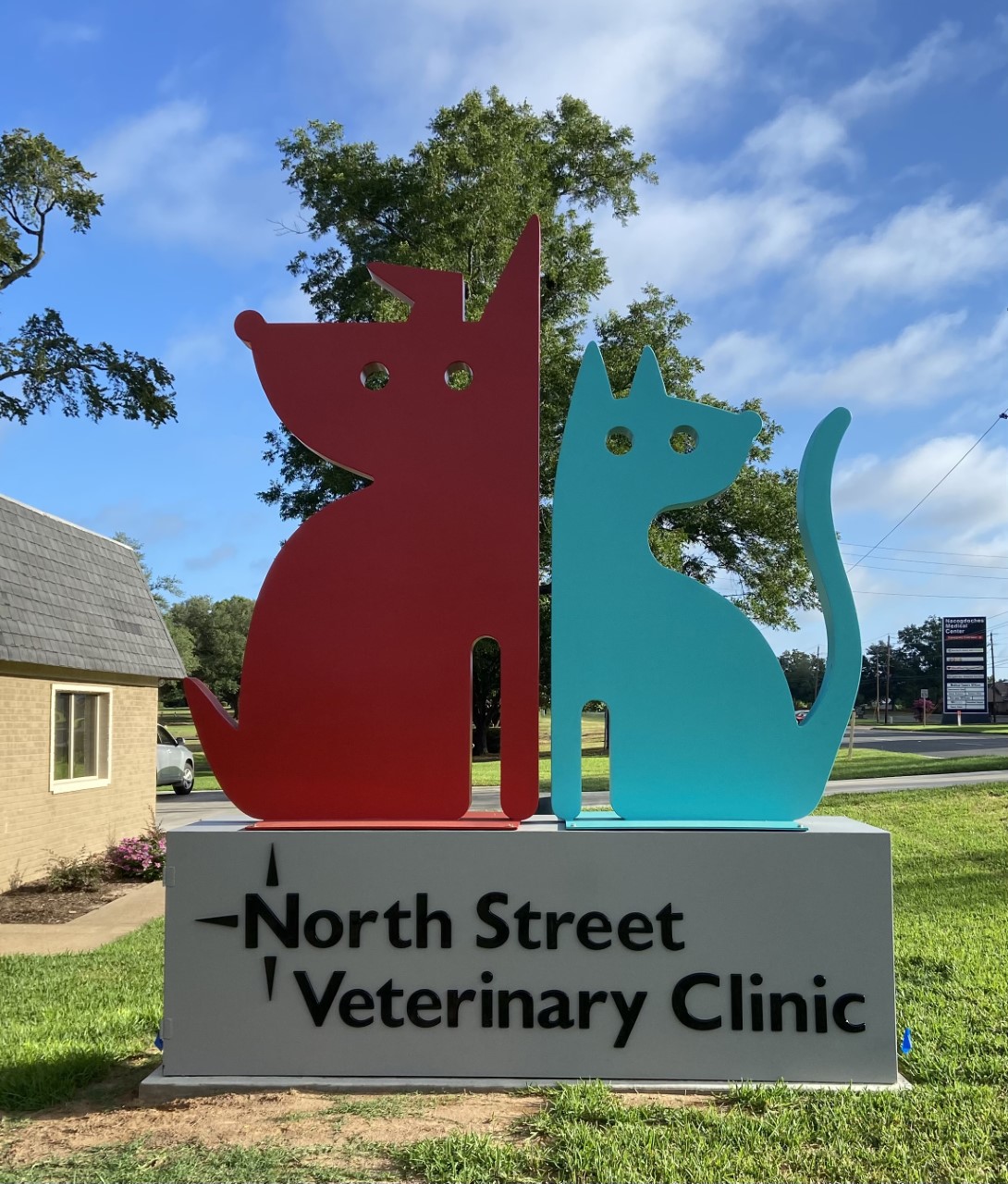 Veterinarian in Nacogdoches, TX | North Street Veterinary Clinic